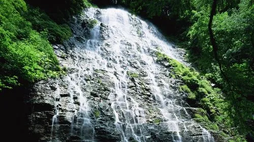 稳定性稳定性独特